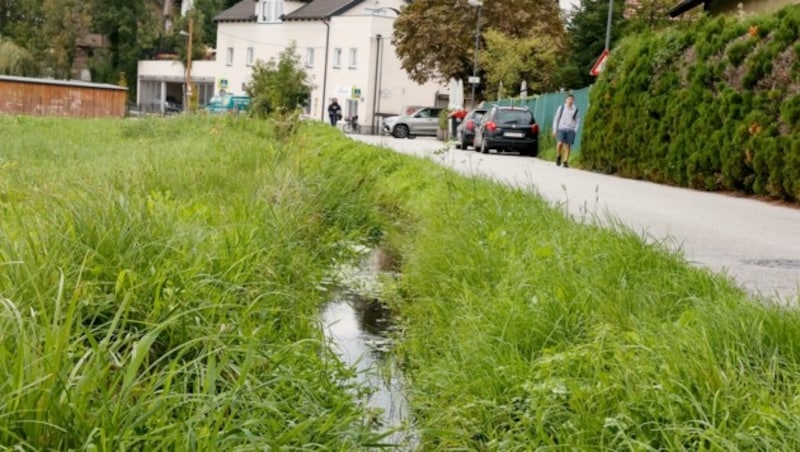 Die Natur, etwa mit dem Fischwirtsbach in Liefering, ist von den Chemikalien betroffen (Bild: Tschepp Markus)