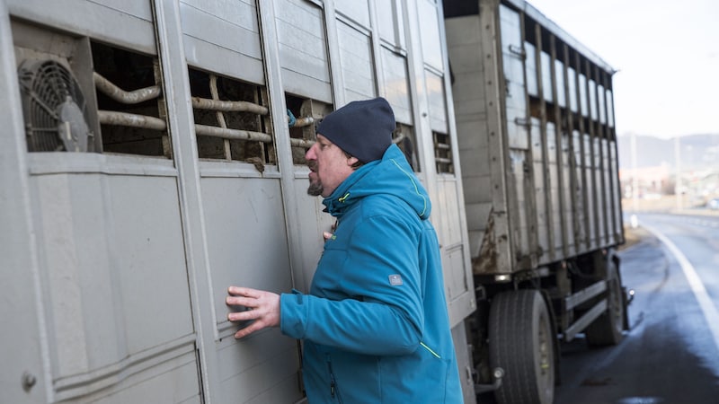 Thomas Waitz machte sich selbst ein Bild von den Zuständen. Er will endlich EU-weite Verbesserungen für die Tiere erreichen.  (Bild: Paul Schwarzl )