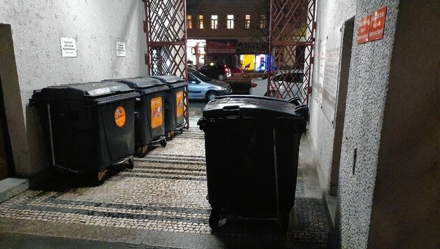 Keiner weiß, warum der Müll im Hernalser Türkenritthof den Eingang verstellen muss. (Bild: Christian Kultschar)
