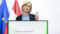 Klimaschutzministerin Leonore Gewessler (Bild: APA/EVA MANHART)