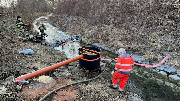 In Graz-Umgebung kämpft die Feuerwehr seit Tagen mit einem möglicherweise umfangreichen Austritt von Heizöl in das Gewässersystem. (Bild: APA/FF RAABA)