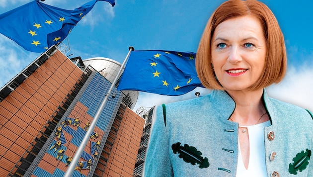 Die steirische EU-Abgeordnete Simone Schmiedtbauer kritisiert die EU-Kommission scharf. (Bild: Reuters, Christa Strobl Krone KREATIV,)