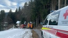 Die Einsatzkräfte rückten zu einem Brand aus (Bild: FF Pöllau)