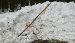 La joven fue asesinada con un poste de nieve.  (Imagen: Markus Schütz)