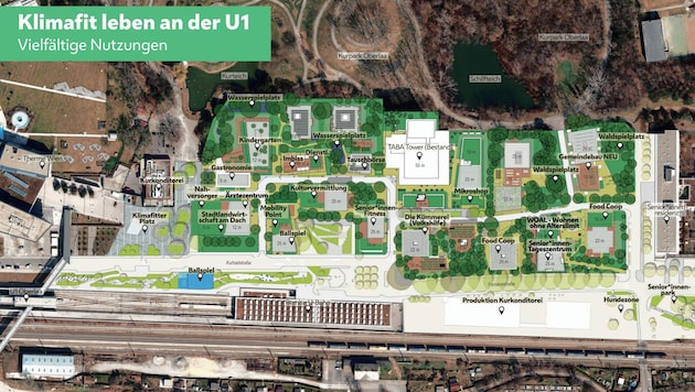 Das sind die Pläne für das Areal im Bereich der U1-Station Oberlaa. Hier entsteht ein klimafittes grünes Wohnquartier. (Bild: Stadt Wien)