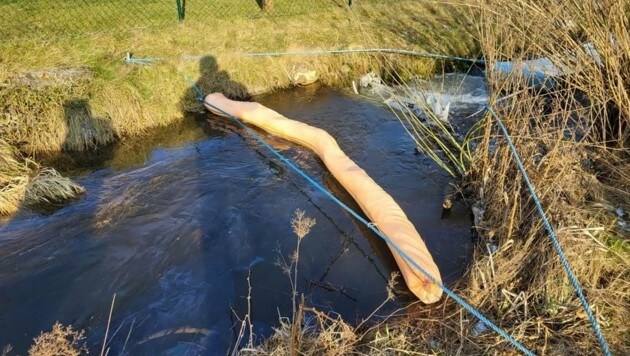 Die Feuerwehr errichtete auf 15 Kilometern Ölsperren. (Bild: zVg)