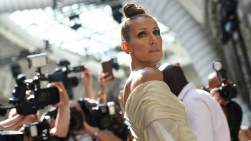 Celine Dion kämpft - aber es gibt noch zu wenig Forschung zu ihrer schweren Stiff-Person-Syndrom-Erkrankung. (Bild: APA/AFP/Lucas BARIOULET)