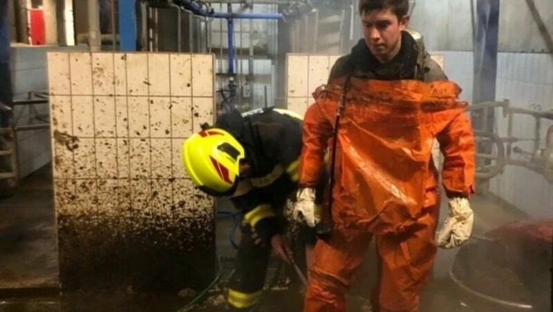 Eine einigende Dusche brauchten nach der Bergung nicht nur die Kühe. (Bild: Ortsfeuerwehr Riefensberg)