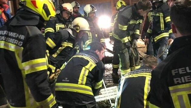 Mit vereinten Kräften gelang den 34 Feuerwehrleuten die Bergung der Kühe. (Bild: Ortsfeuerwehr Riefensberg)