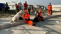 Die Rettungshunde des niederländischen Teams RHWW witterten die Verschütteten unter den Trümmern. (Bild: twitter.com/reddingshonden)