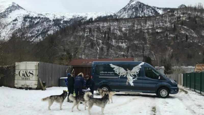 Die Huskys gingen mit Julia sehr rücksichtsvoll um (Bild: Rollende Engel)