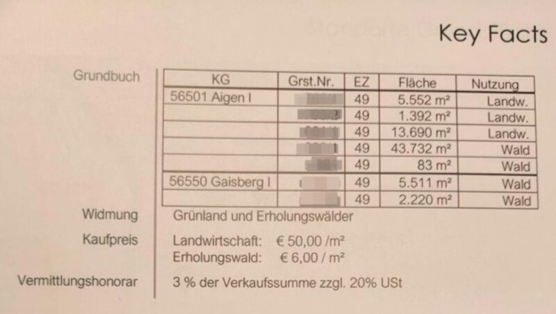 Der Auszug aus dem Exposé listet die Details auf. (Bild: zVg, Krone KREATIV)