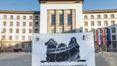 Unlängst wurde am Landhausplatz gegen die Ausbaupläne der Tiwag demonstriert (Bild: WWF)