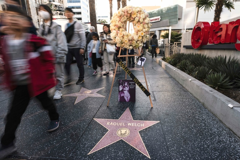 Gedenken an Raquel Welch am Walk Of Fame (Bild: AP)