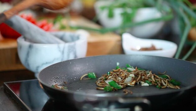 Mehlwürmer am Teller findet Leo Steinbichler unappetitlich und erinnert daran, dass er diese früher auf Geheiß seiner Oma immer aus dem Mehl sieben musste. Gefilmt wurde im Kuhstall. (Bild: Livinfarms)