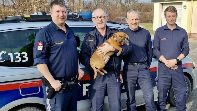 Die vier „Hundefänger“ von der Autobahnpolizei Haid mit „Laika“ - die Polizisten retteten dem Ausreißer das Leben, nachdem der Hund eine Nacht auf der Westautobahn überstanden hatte (Bild: Polizei OÖ)