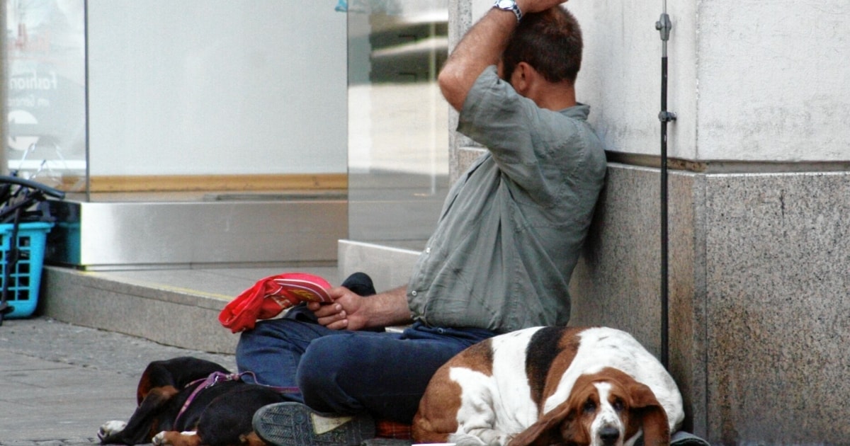 Graz – begging with dogs causes excitement