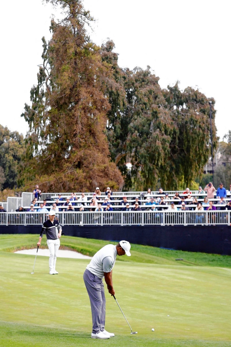 Matthias Schwab erlebte Tiger Woods aus nächster Nähe. (Bild: 2023 Getty Images)