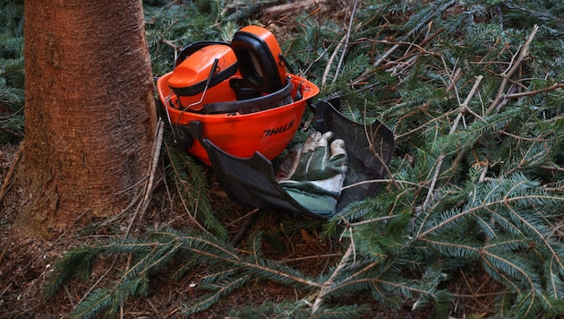 Forestry accidents are unfortunately not uncommon (symbolic image). (Bild: laumat.at/Matthias Lauber)