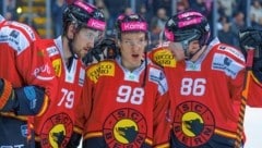 In Bern ist Baumgartner (Mitte) gesetzt, am Samstag spielt er mit dem Team in Zell. (Bild: SC Bern/Tom Hiller)