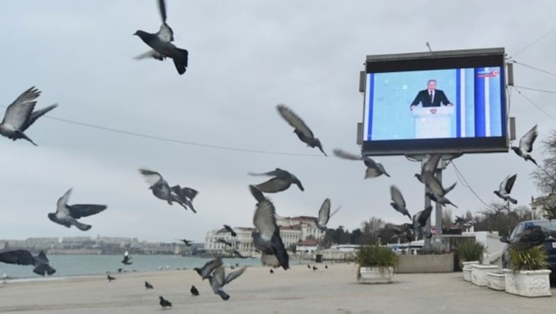 Live-Übertragung in Sewastopol auf der Krim (Bild: AP)