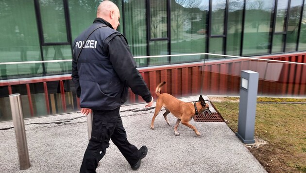 Sprengstoffspürhunde durchsuchten das Areal des Justizzentrums. (Bild: Patrick Huber)
