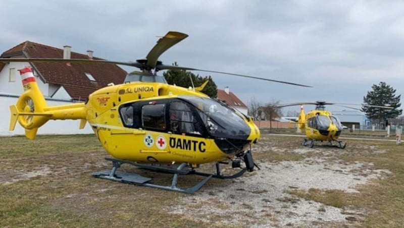 Die beiden Notarzthubschrauber Christophorus 3 und Christophorus 33 am Einsatzort in Horitschon. (Bild: ÖAMTC )