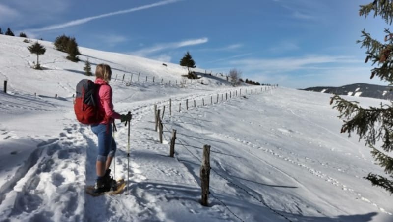 Die Wanderung mit Schneeschuhen auf die Dreieckalm ist eine einfache Tour über Forststraßen und Almflächen, bei der man herrliche Ausblicke und Momente der Ruhe genießt. (Bild: Weges)