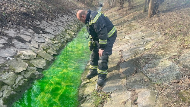 Die grüne Verfärbung stellte Florianis kurz vor ein Rätsel. (Bild: Freiwillige Feuerwehr Perchtoldsdorf)