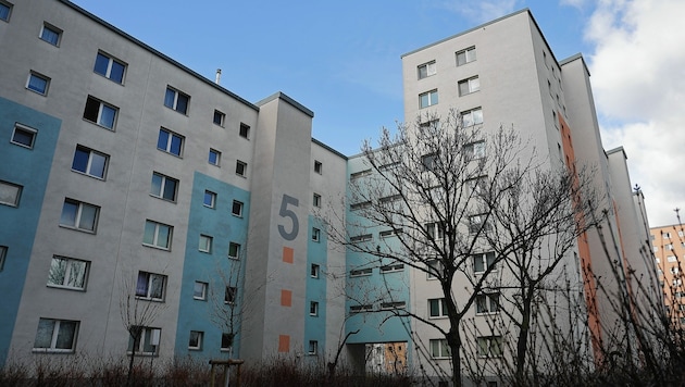 Zusätzlich zum Wohnbonus will die SPÖ Mietsteigerungen im Gemeindebau komplett ausgleichen. (Bild: Tomschi Peter)
