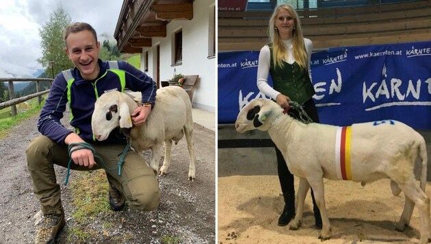 Osttiroler Jungzüchter gewinnen Olympiade. (Bild: Schaf- und Ziegenzuchtverband)