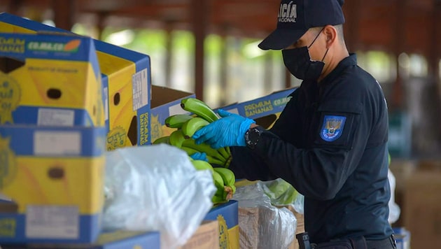 In Ecuador hat die Polizei rund 8,8 Tonnen Kokain im Wert von 330 Millionen Dollar (rund 313 Mio. Euro) beschlagnahmt. (Bild: AFP/Marcos Pin)