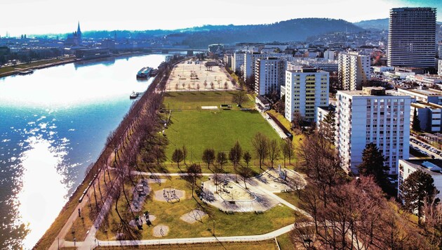 Die Wasserbucht am Urfahraner Donauufer wird wohl ein Luftschloss bleiben. (Bild: Horst Einöder/Flashpictures)