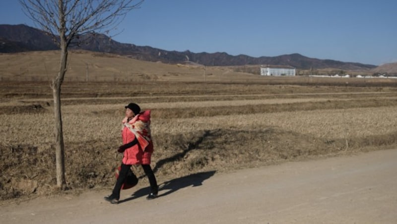 Nordkorea ist trotz Bestrebungen, möglichst die gesamte Lebensmittelproduktion im eigenen Land zu stemmen, nach wie vor massiv auf Importe angewiesen. (Bild: AFP/Ed JONES)