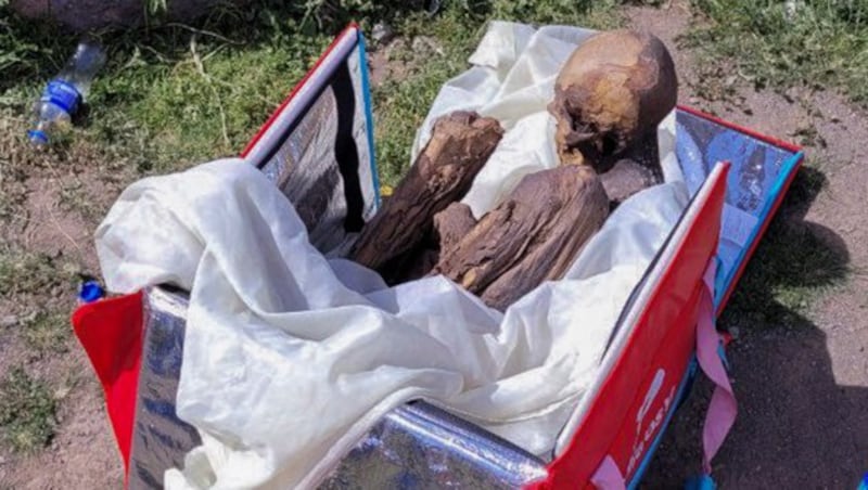 In Peru hat die Polizei bei einem früheren Essenslieferanten einen Jahrhunderte alten, mumifizierten Menschen beschlagnahmt. (Bild: APA/AFP/Puno TV)