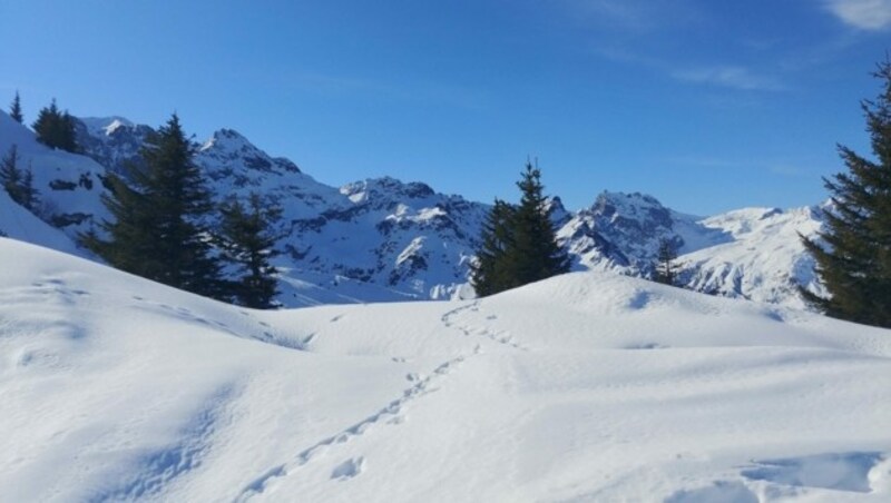 Auf über 2000 Meter Seehöhe ist es noch so richtig winterlich, am Talboden zieht indes bereits der Lenz ein. (Bild: Bergauer)