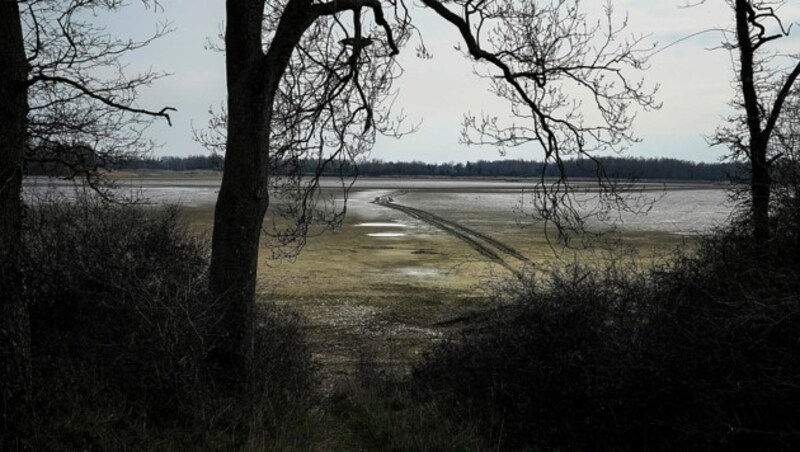 Ein fast ausgetrockneter Teich in der Nähe von Lyon (Bild: AP)