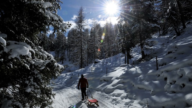 Eine wundervolle Winterlandschaft präsentierte sich den Rodlern und Wanderern Mitte der Woche. (Bild: Peter Freiberger)