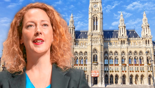 Die grüne Parteichefin Judith Pühringer möchte weniger Arbeitsstunden auch für die gesamte Gesellschaft. (Bild: Gerhard Bartel stock.adobe.com, Krone KREATIV)