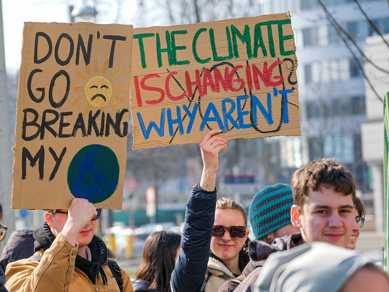 Die jungen Demonstranten hatten viele Schilder und Plakate gebastelt. (Bild: Horst Einöder/Flashpictures)