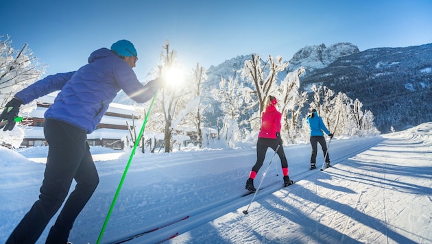 Symbolbild (Bild: TVB Osttirol Hamacherhotels/Martin Lugger)