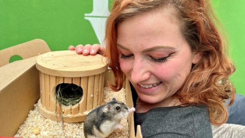 Katrin Hofbauer kümmert sich um den ausgesetzten Hamster. (Bild: Tierheim Krems)