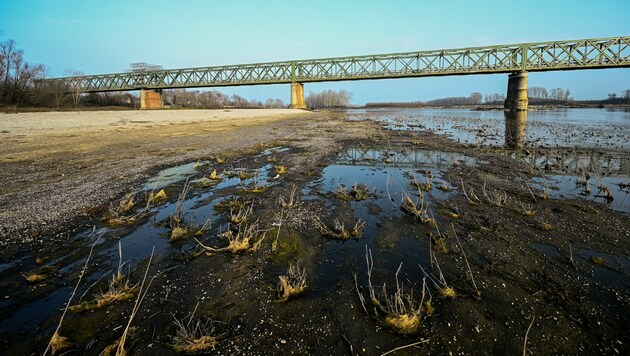 Europa geht das Wasser aus - trockene Flussbetten sind mittlerweile keine Seltenheit mehr. (Bild: AFP/Piero CRUCIATTI)