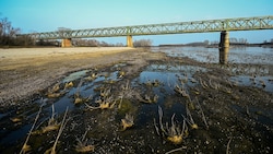 Europa geht das Wasser aus - trockene Flussbetten sind mittlerweile keine Seltenheit mehr. (Bild: AFP/Piero CRUCIATTI)