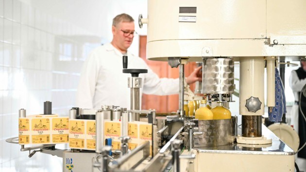 Franz Humer aprendió originalmente el oficio de albañil.  Hace 15 años se cambió a la producción de licores.  (Imagen: Markus Wenzel)