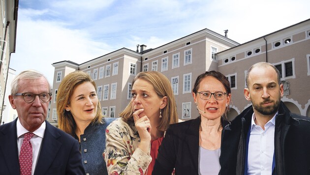Die Spitzenkandidaten der Salzburger Landtagsparteien. (Bild: ANDREAS TROESTER, Krone Kreativ)