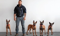 Die vier Hunde sind bei Spezialausbildner Georg Resch in Obhut.