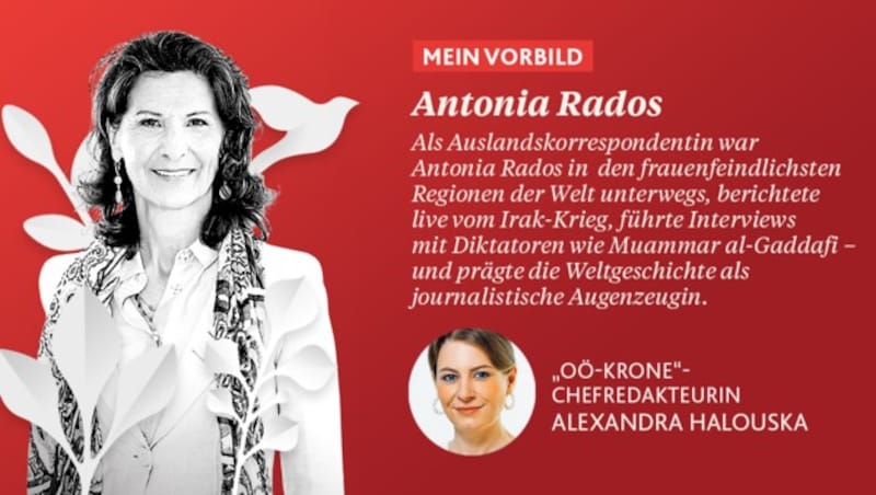 (Bild: Krone KREATIV, Wenzel Markus, Günther Pichlkostner, stock.adobe.com)