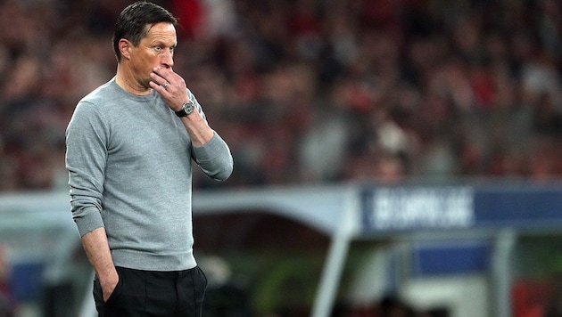 Roger Schmidt steht mit Benfica Lissabon im Viertelfinale der Champions League. (Bild: APA/AFP/CARLOS COSTA)