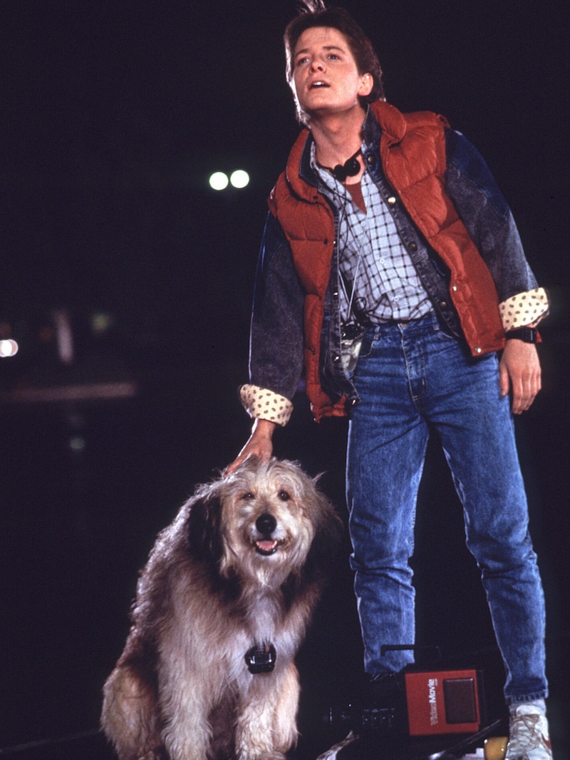 Michael J. Fox und „Einstein“ in dem Film „Zurück in die Zukunft“ (Bild: mptv / picturedesk.com)